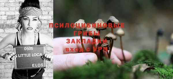 Альфа ПВП Аркадак